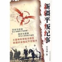 新疆平叛纪事
