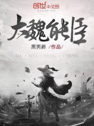 大魏能臣⊙行无界