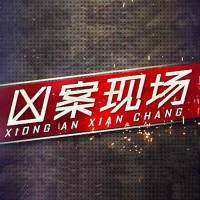 中国恐怖凶杀悬疑案件：凶案现场 特案调查组