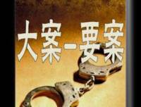 大案要案侦破实录