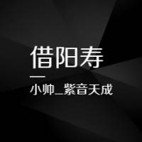 借阳寿《重置版》