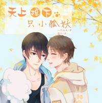 天上掉下只小狐妖