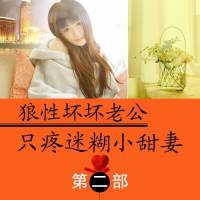 《狼性坏坏老公：只疼迷糊小甜妻》（二）共四部