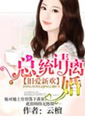 旧爱新欢·总统请离婚