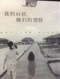 黄磊:我的肩膀 她们的翅膀