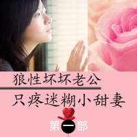 《狼性坏坏老公：只疼迷糊小甜妻》（一）共四部