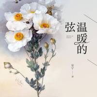 温暖的弦