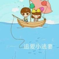 追爱小逃妻