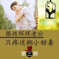 《狼性坏坏老公：只疼迷糊小甜妻》（三）共四部
