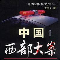 《中国西部大案》