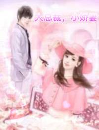 大总裁小娇妻