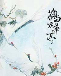 鹤唳华亭