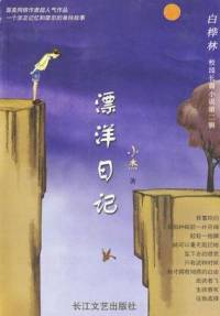 飘洋日记