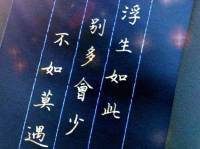 人间惆怅客【九辫儿同人】