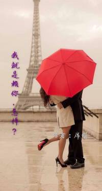 我就是赖你，怎样？