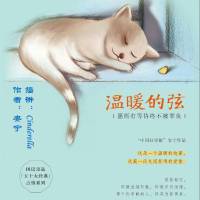 温暖的弦