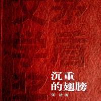 沉重的翅膀