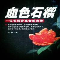 刑侦小说《血色石榴》
