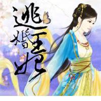 逃婚王妃