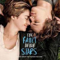 The Fault in Our Stars英文原著