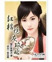 红楼炮灰攻略
