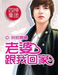 四神集团2～老婆，跟我回家