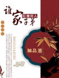 谁家子弟（红楼同人）