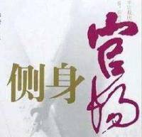 侧身官场