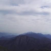 蓝血十杰（完本）
