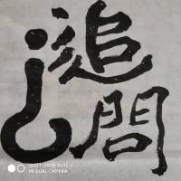 反腐纪实文学《追问》