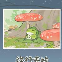 叙利亚战争沉思录
