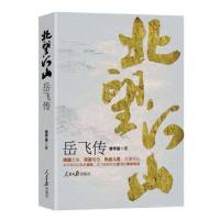 北望河山-岳飞传