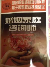 婚姻家庭咨询师二级技能（完本）