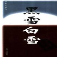 黑雪白雪（官场文学力作）