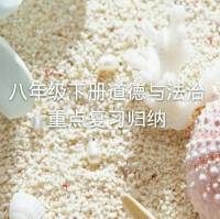 八年级下册政治重点复习归纳
