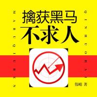 擒获黑马不求人
