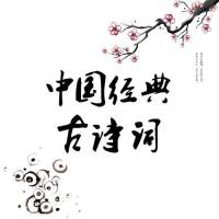 古诗词朗读（初中课本）