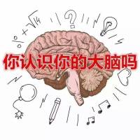 全脑潜能开发职业技能师资培训