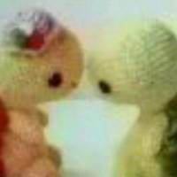 态度