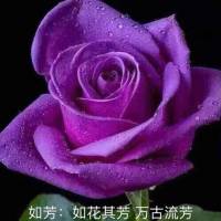 【心灵美学】