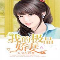 我的极品娇妻