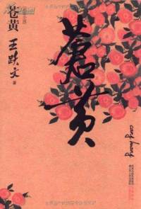 《苍黄》王跃文