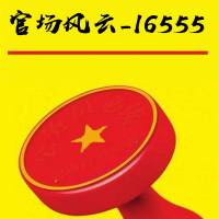 官场风云-16555