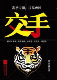 交手（政商小说）