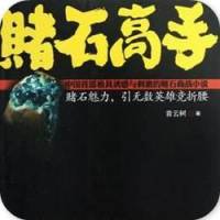 赌石高手