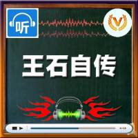 万科总裁王石传记