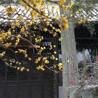 正念冥想练习方法