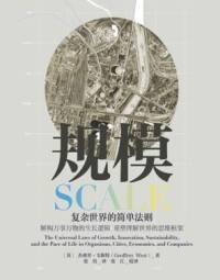 有声书《规模》
