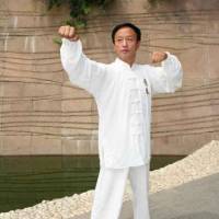 国粹意拳