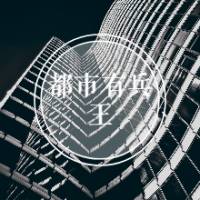都市有兵王